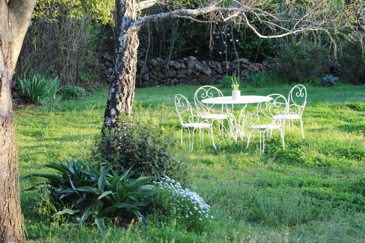 Mas Les Romarins, 10 Min D'Uzes, Piscine Et Grand Jardin Clos, Jeux, Nid De Repos Et Base Pour Activites Dans Le Gard (Adults Only) Exteriör bild